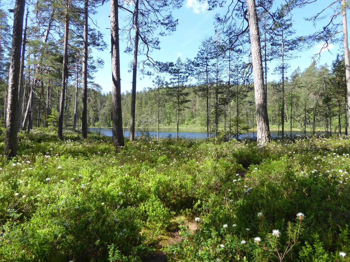 Ydrefors Bed & Breakfast Exteriör bild