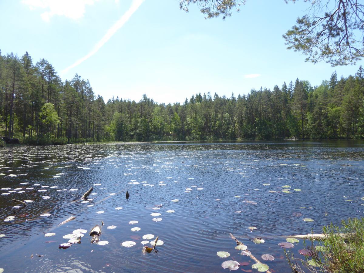 Ydrefors Bed & Breakfast Exteriör bild